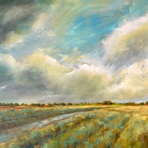 Zomers polderlandschap