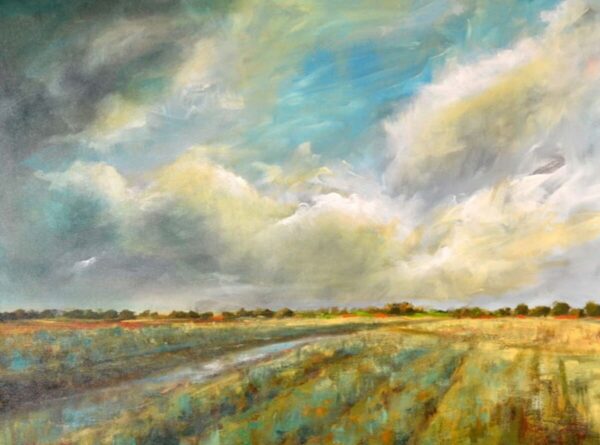 Zomers polderlandschap