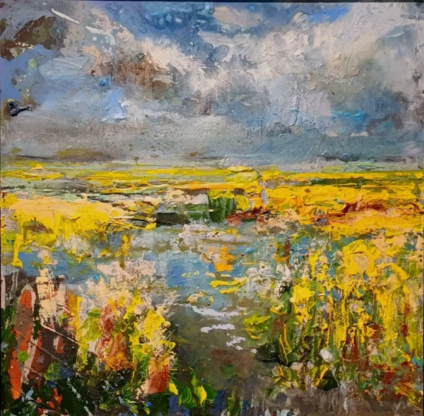 arkemheenpolder 17 Wim van de Wege