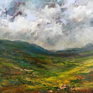 Cambrian mountains by Wim van de Wege