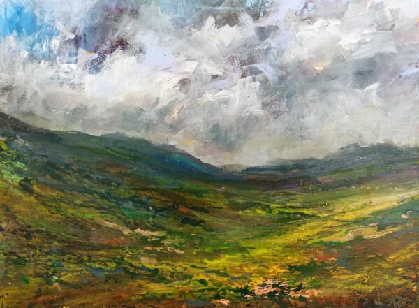 Cambrian mountains by Wim van de Wege