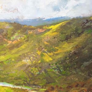 Cambrian Mountains 4 - Afbeelding 4